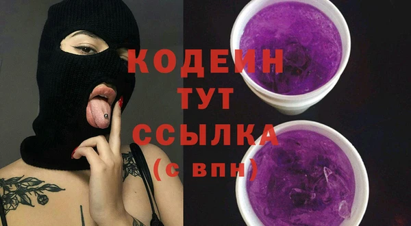 шишки Верея