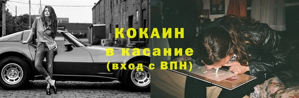 шишки Верея