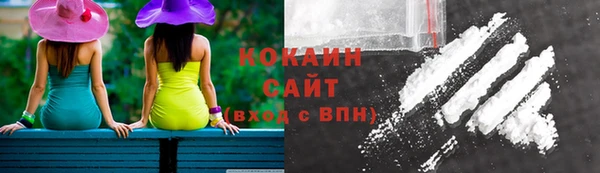 шишки Верея