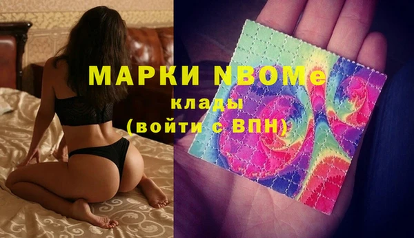 шишки Верея