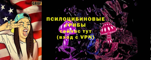 соль ск Верхний Тагил