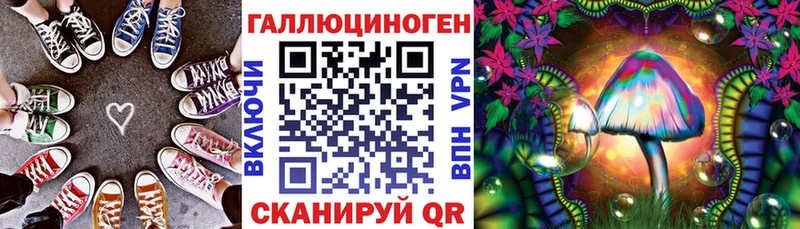Псилоцибиновые грибы GOLDEN TEACHER Железногорск-Илимский