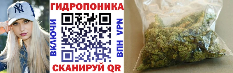 Конопля Bruce Banner  Железногорск-Илимский 
